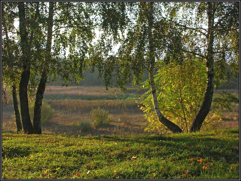 photo "Fall morning" tags: landscape, autumn, sunset