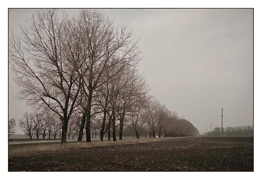 photo "Road" tags: landscape, spring