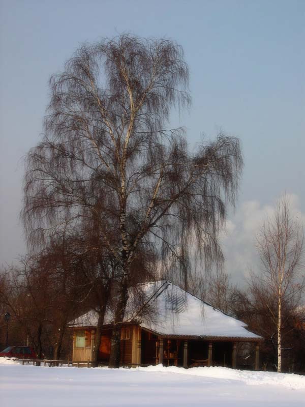фото "Домик в деревне" метки: пейзаж, зима