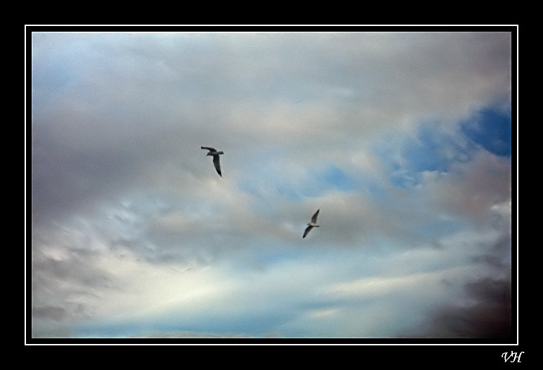photo "Dancing on sky" tags: landscape, clouds