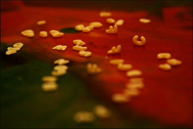 фото "chaos in my mind" метки: абстракция, 