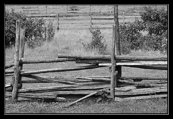 photo "Rows" tags: black&white, landscape, 