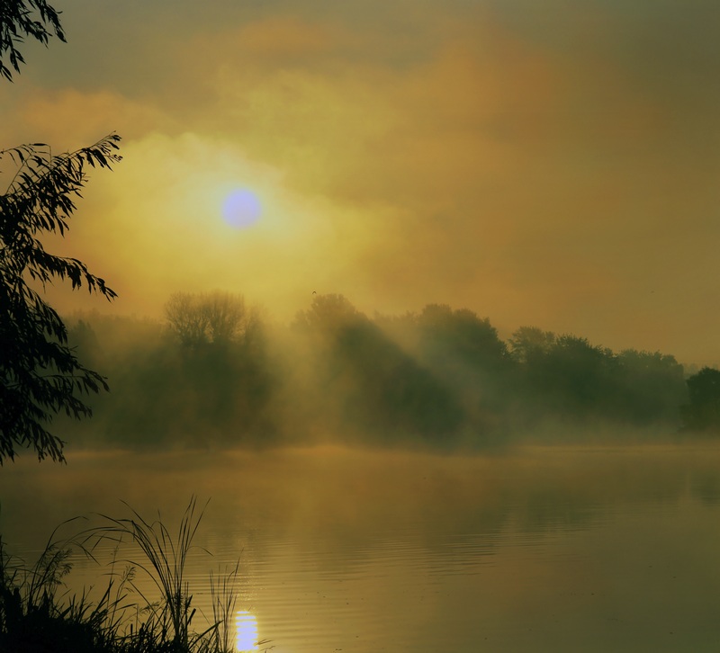 photo "Parade alle" tags: landscape, forest, sunset