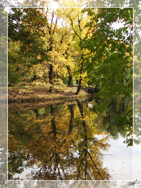 photo "***" tags: landscape, autumn