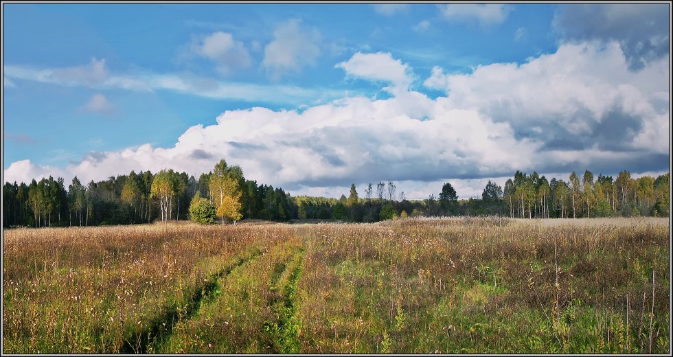 photo "October has arrived..." tags: landscape, autumn