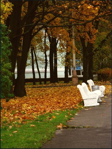 photo "***" tags: nature, landscape, autumn