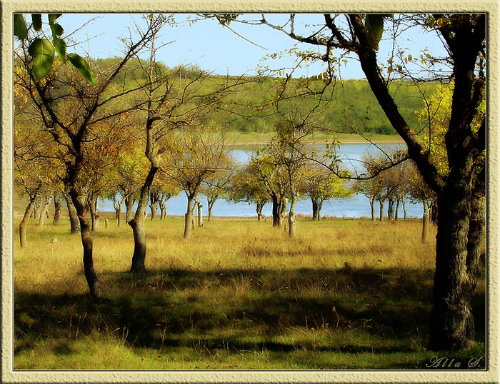 photo "***" tags: landscape, autumn