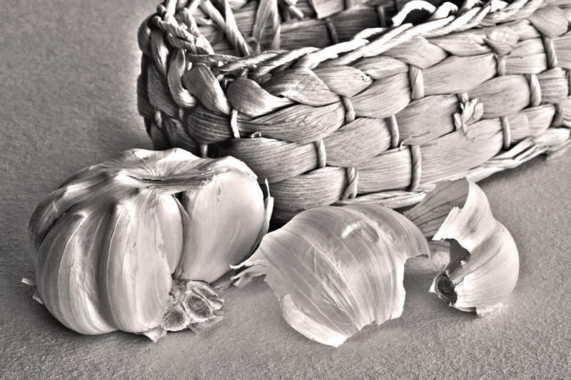 photo "Garlic" tags: still life, black&white, 