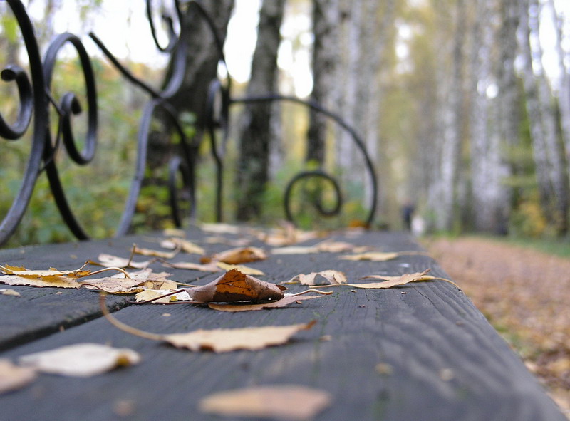 фото "Не сидится" метки: пейзаж, осень