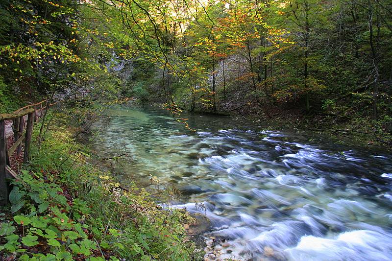 photo "***" tags: landscape, autumn