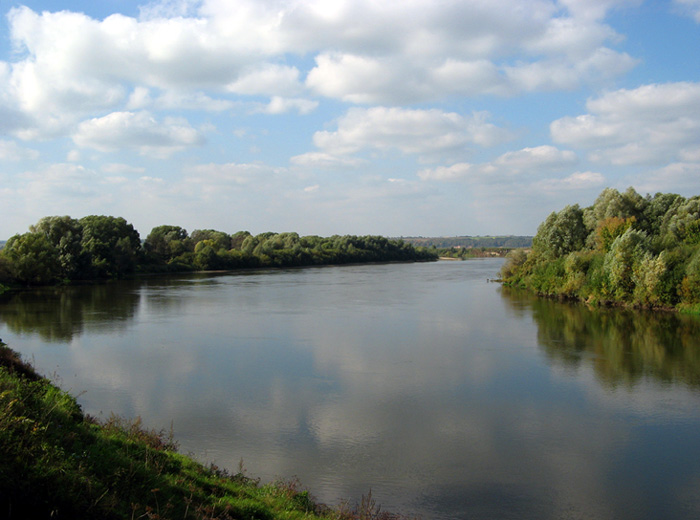 photo "On the bank of Oka river" tags: landscape, water