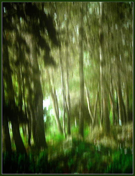 фото "***" метки: , 