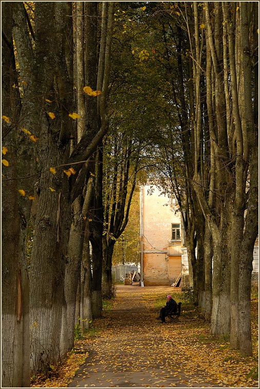 photo "Alley of Autumn" tags: landscape, autumn, forest