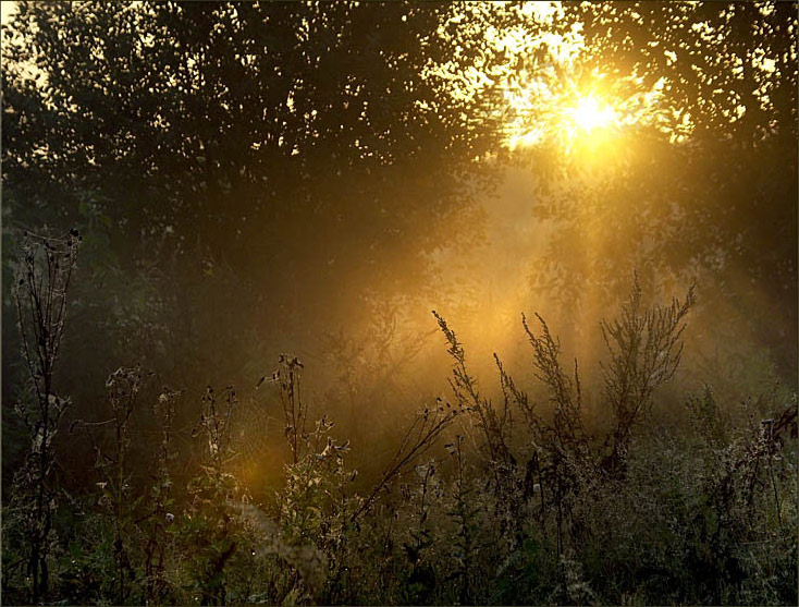 photo "Good morning, the Sun!" tags: landscape, sunset