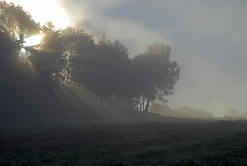 photo "***" tags: landscape, autumn