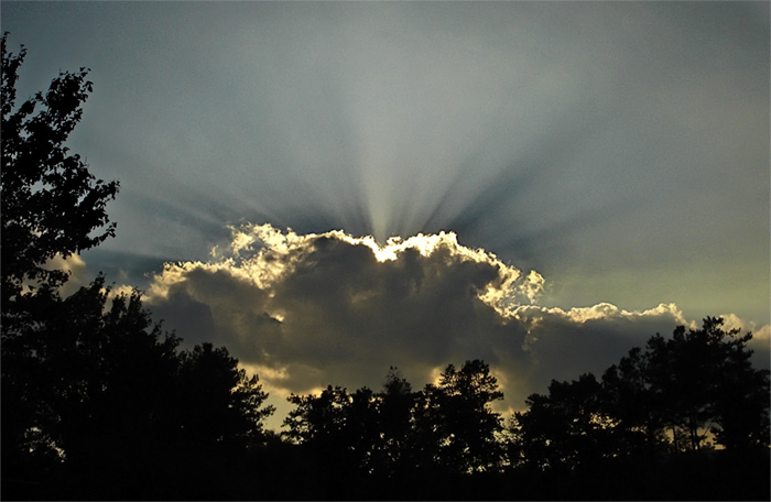 фото "***" метки: , 