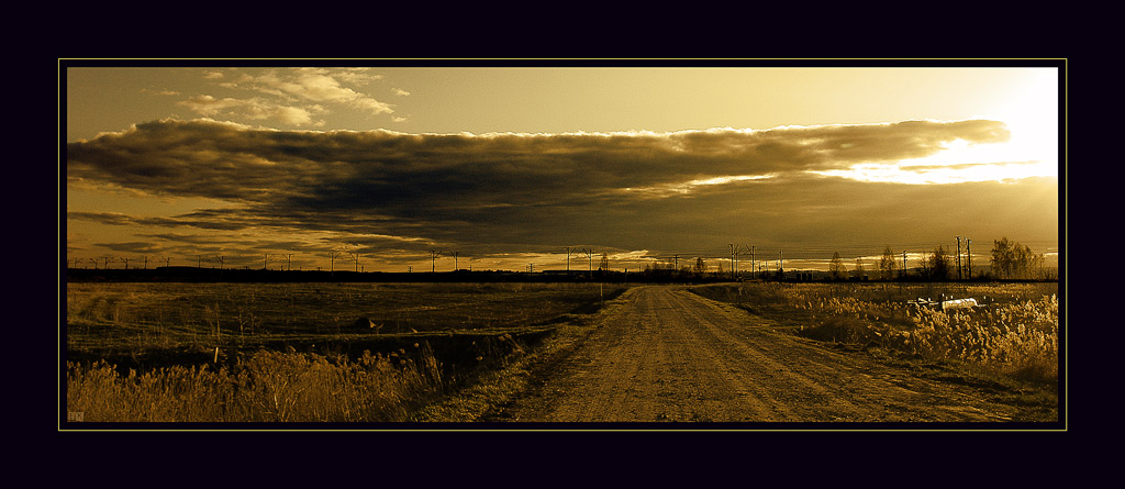 photo "Road landscape" tags: landscape, black&white, 