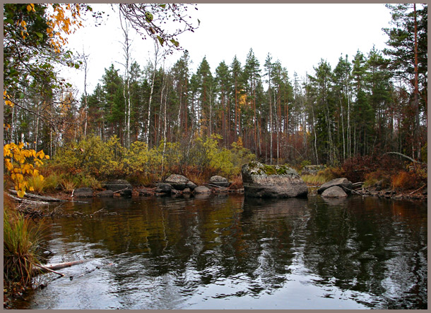 photo "***" tags: landscape, forest, water