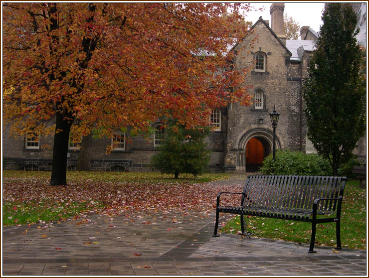 photo "The Park On A Rainy Day" tags: travel, landscape, North America