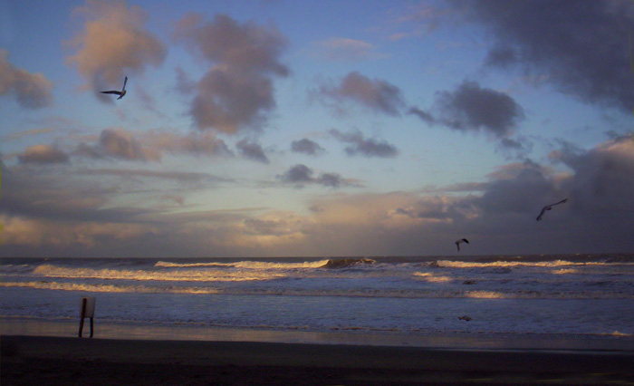 photo "pinamar" tags: , 