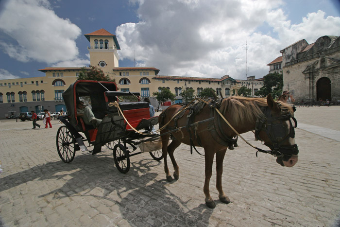 photo "HABANA... CUBA... La Plaza de San Francisco" tags: travel, South America