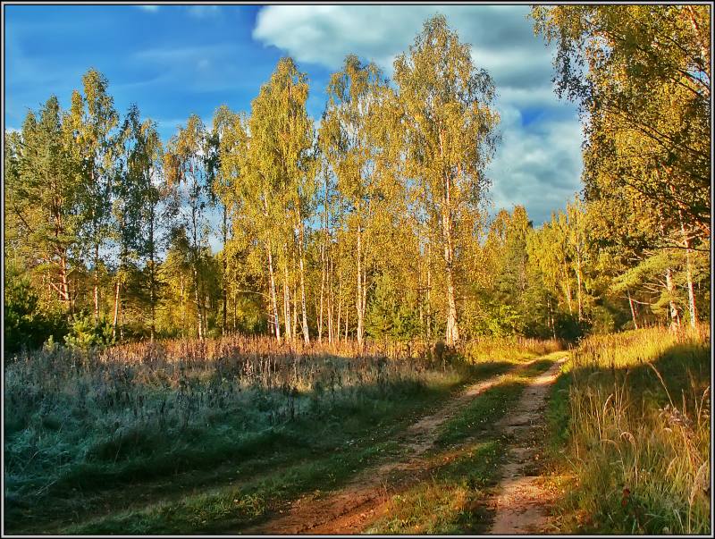 фото "Осенний путь" метки: пейзаж, осень