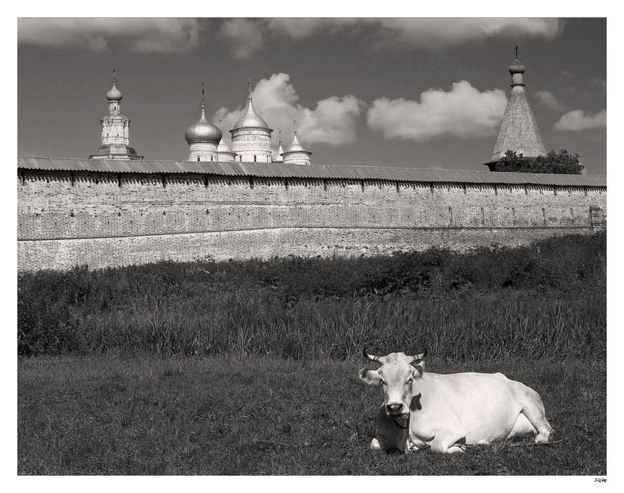 photo "***" tags: architecture, nature, landscape, pets/farm animals