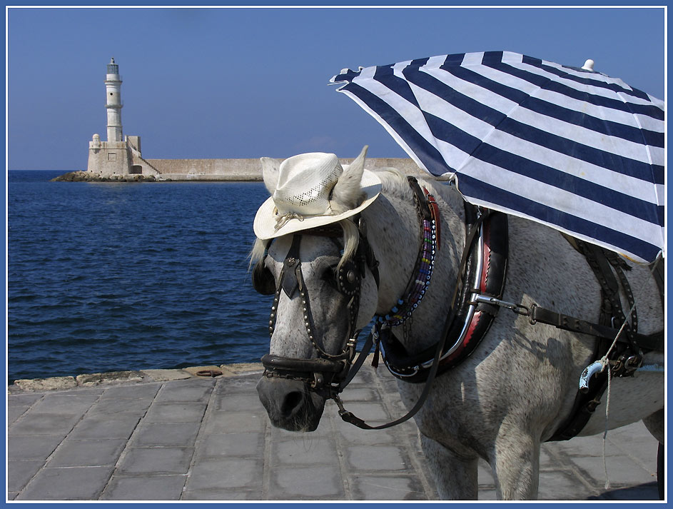 фото "Kreta - Crete" метки: путешествия, юмор, Европа
