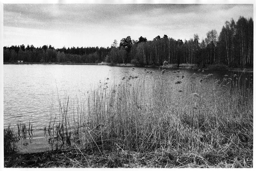 photo "When autm just was begining" tags: black&white, landscape, water