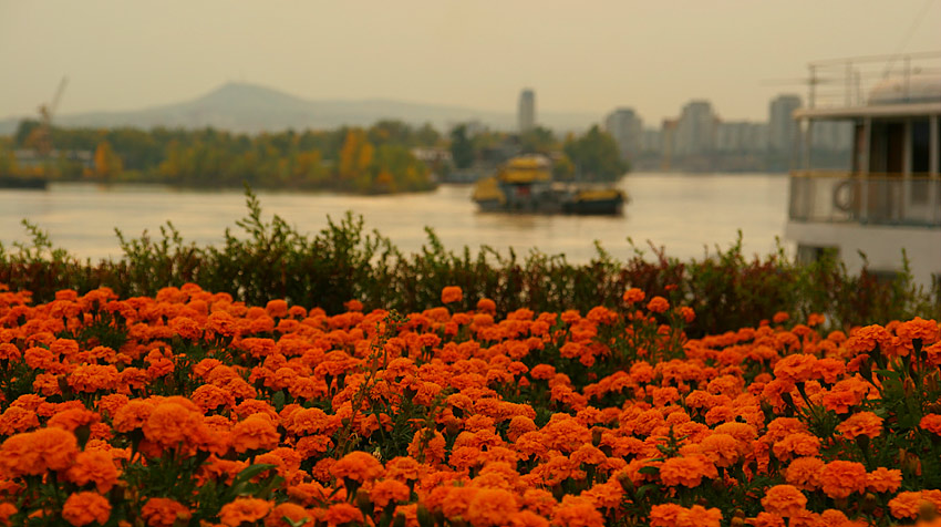photo "***" tags: landscape, 