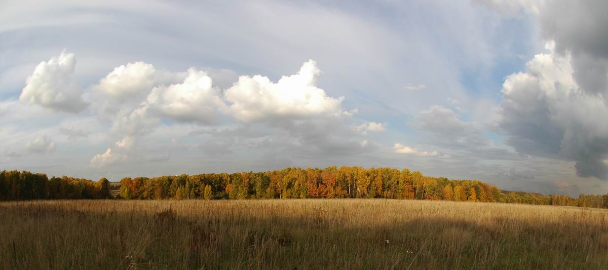 photo "The autumn sky" tags: landscape, autumn