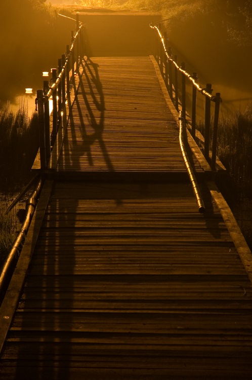 photo "The brige across forever" tags: landscape, sunset, water