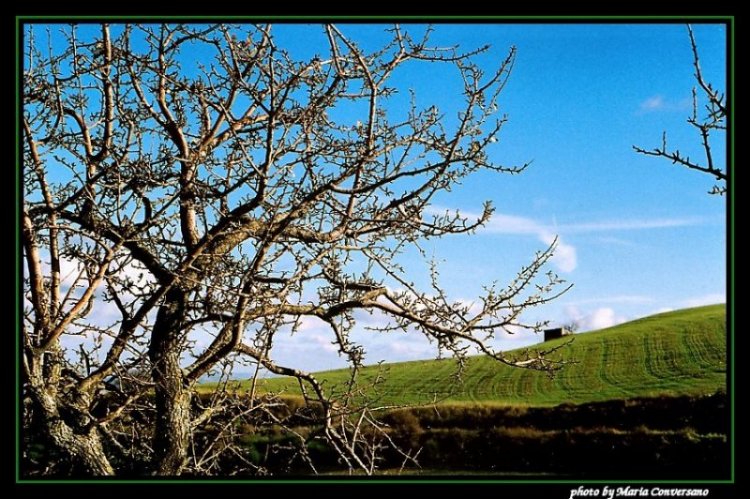 фото "Mouved by the wind" метки: пейзаж, горы