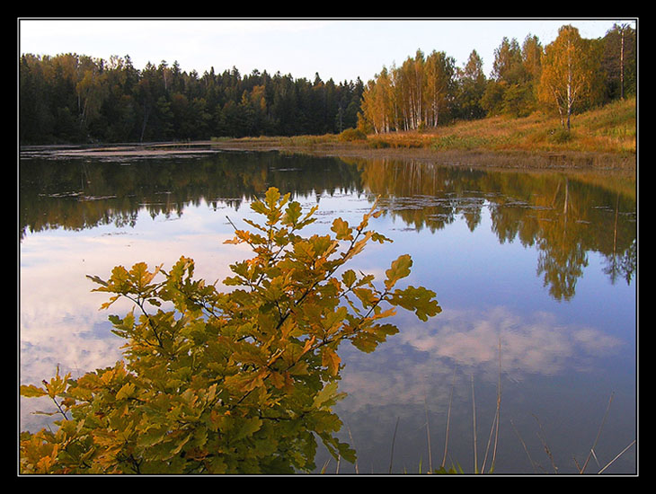 photo "Abramtzevo." tags: landscape, autumn