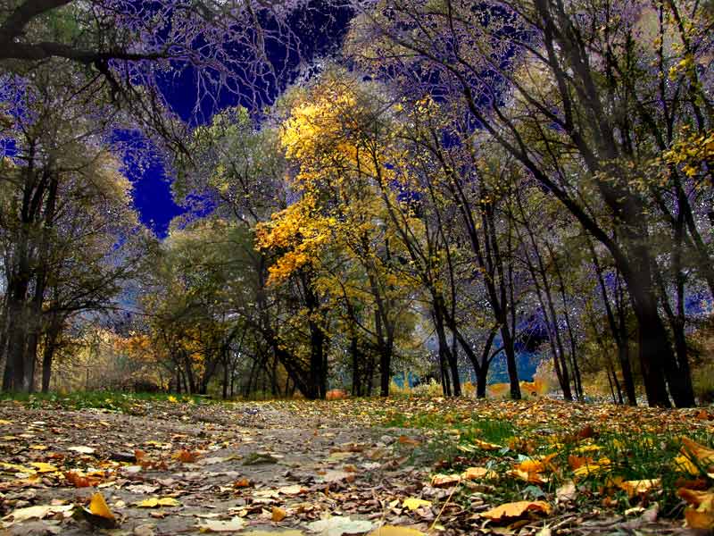 photo "Ещё одна осень" tags: landscape, autumn