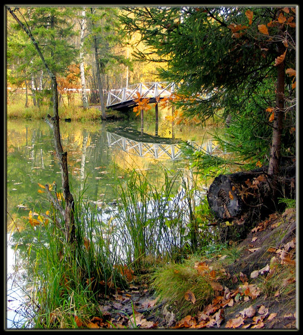 photo "Park Abramcthevo" tags: landscape, autumn