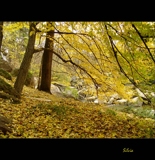 photo "Софиевский парк-2" tags: landscape, autumn