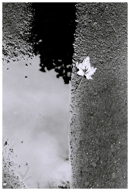 photo "on the edge" tags: black&white, misc., 