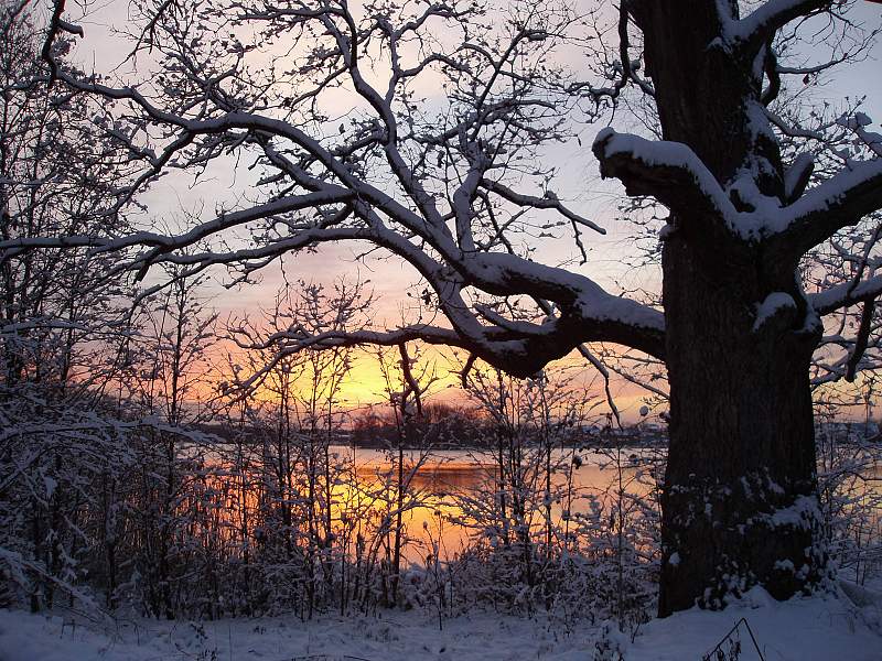 photo "***" tags: landscape, winter