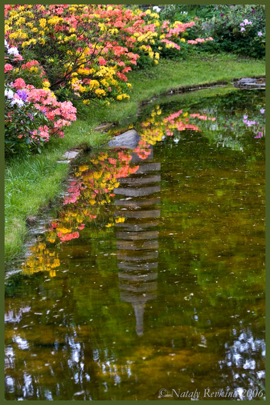 photo "The Japanese garden" tags: nature, landscape, flowers, spring