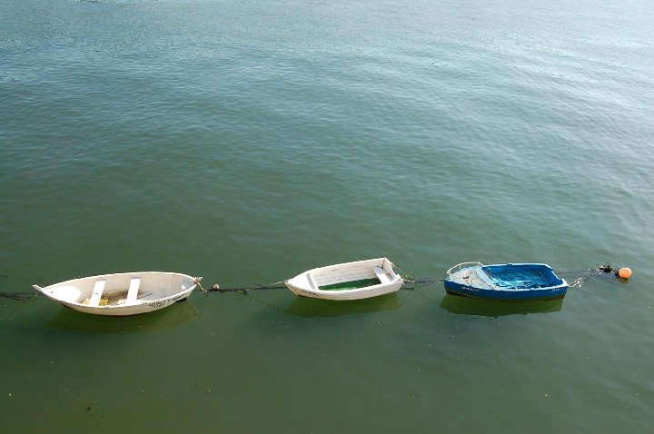 photo "boats" tags: , 