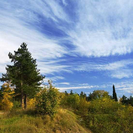 photo "***" tags: landscape, autumn