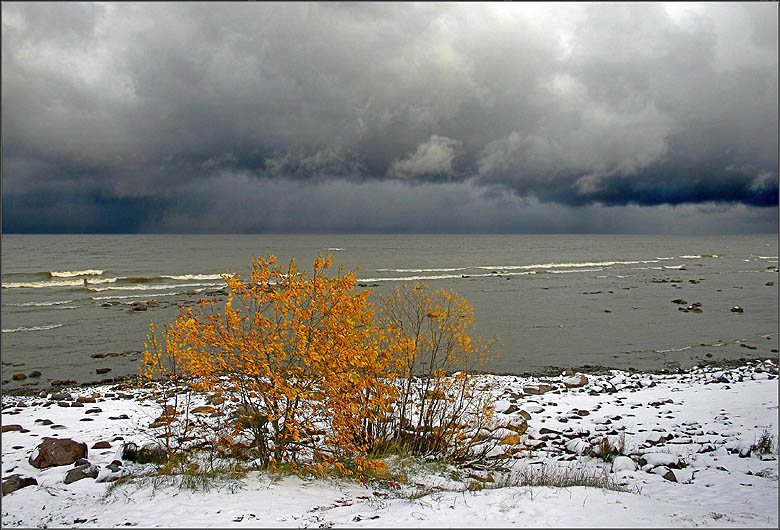 photo "Approach of Winter" tags: landscape, autumn, winter