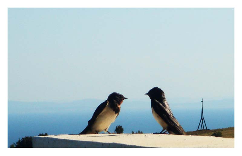 photo "Love" tags: landscape, 