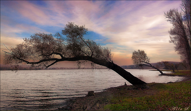 photo "***" tags: landscape, autumn