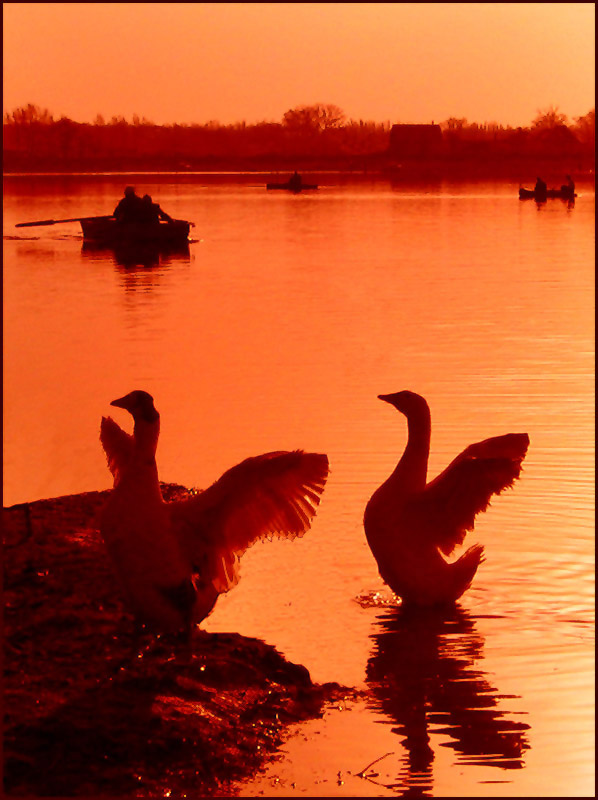 фото "Утро у реки" метки: пейзаж, вода, закат