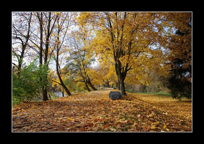 фото "Осень" метки: , 