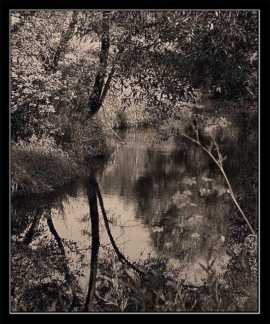 photo "Etude 2" tags: landscape, black&white, water