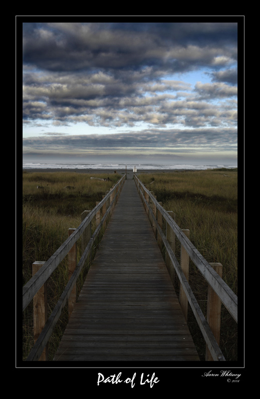 photo "Path of Life" tags: landscape, 