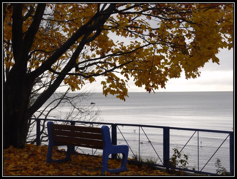 photo "The Sad Time" tags: landscape, autumn, water